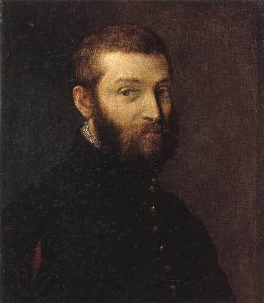 VERONESE (Paolo Caliari) Portrait of a Man Sweden oil painting art